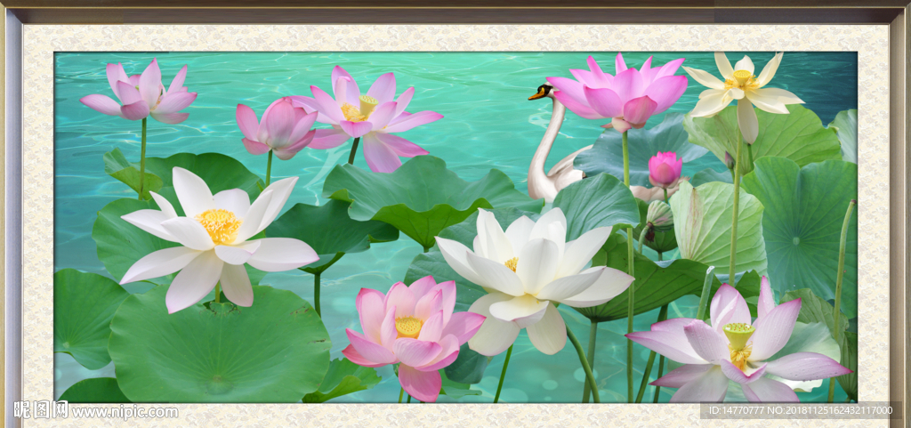 国画荷花