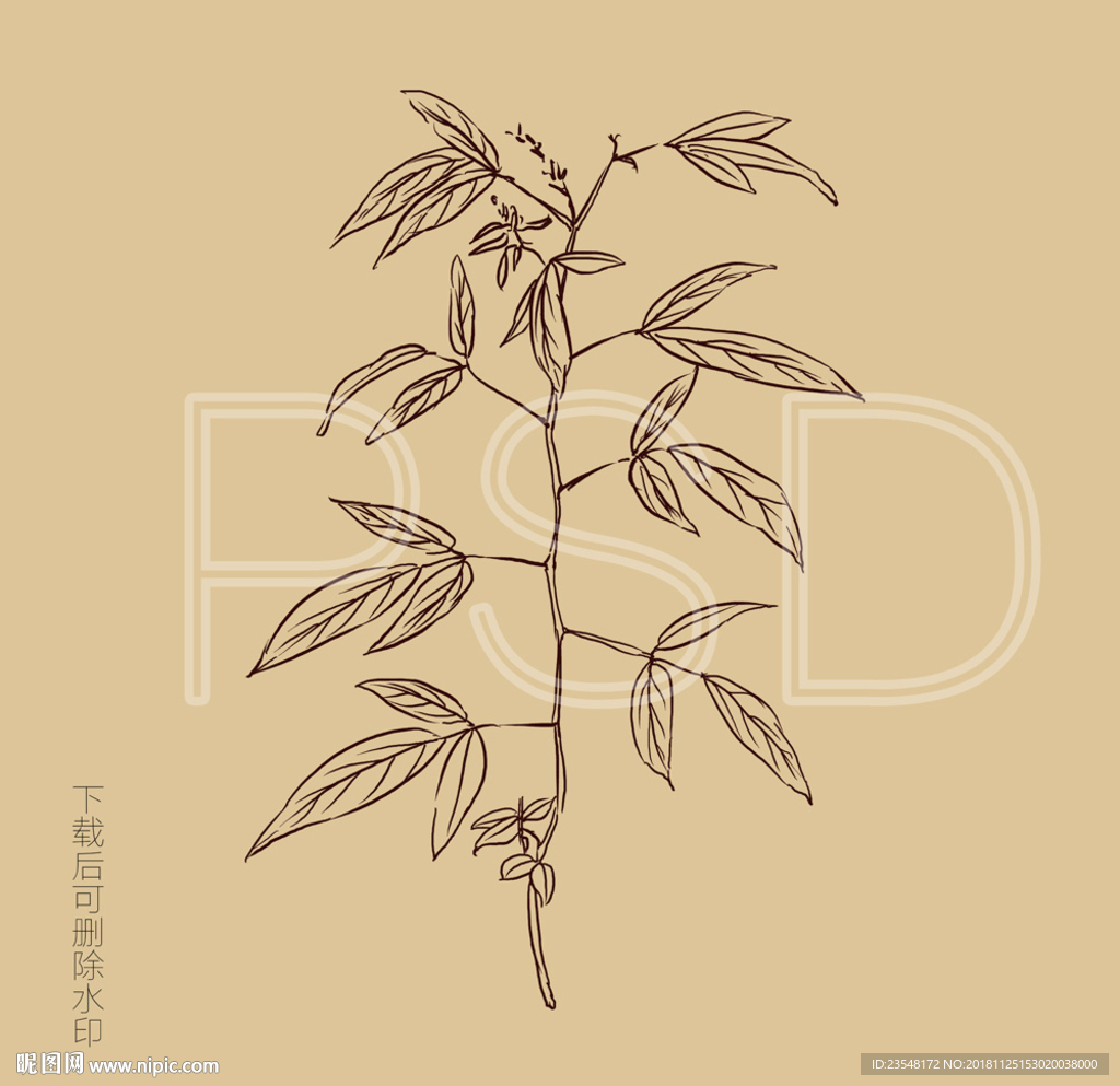 小槐花