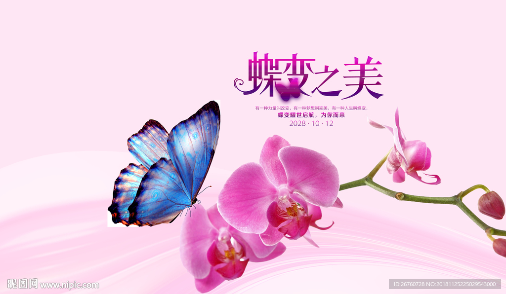 蝴蝶