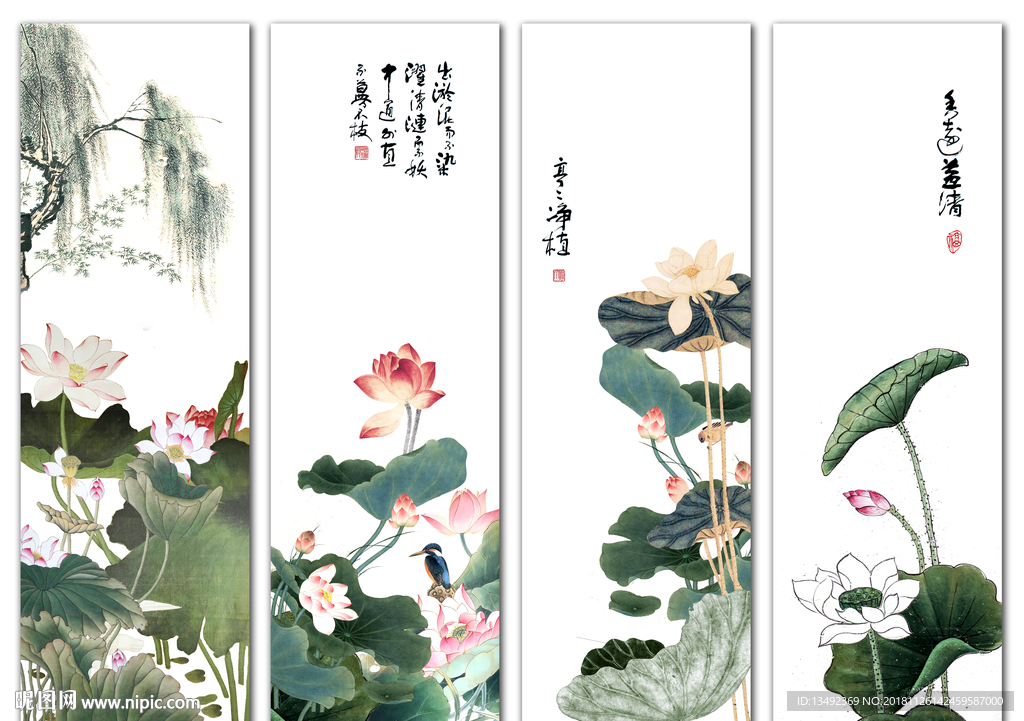 荷花