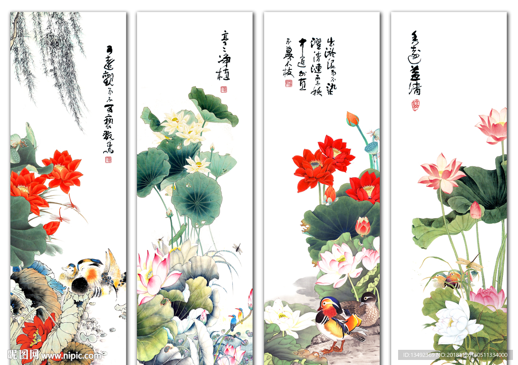 国画荷花