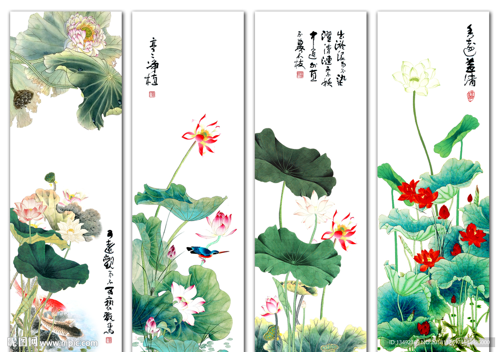 国画荷花