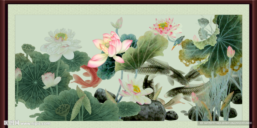 荷花鲤鱼