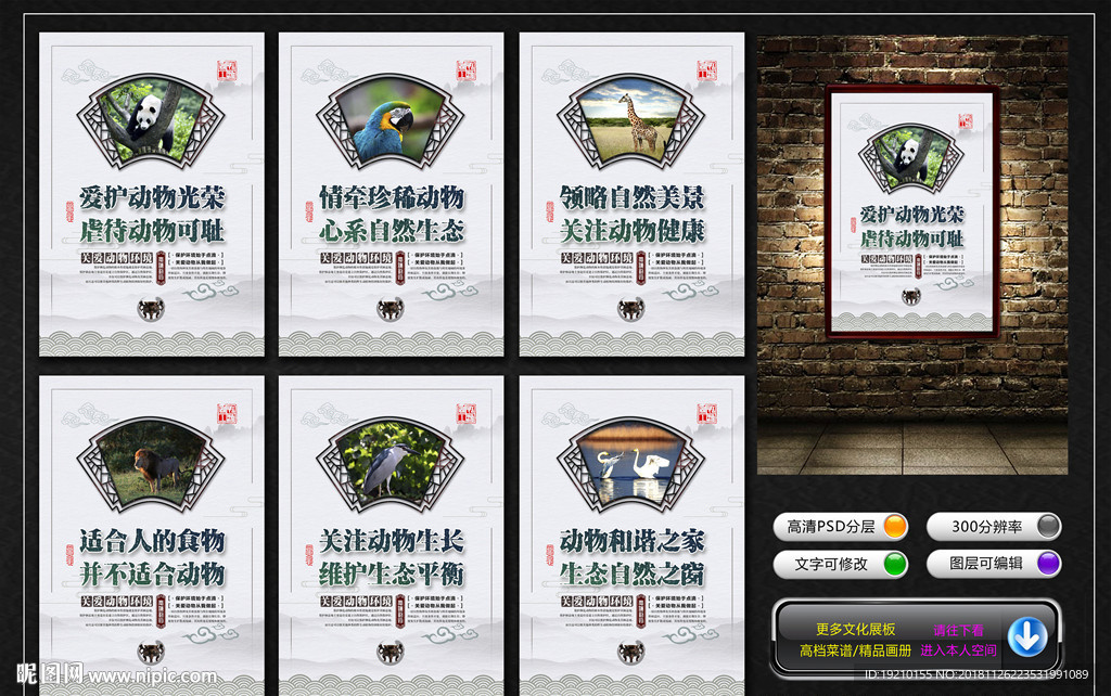 动物园文化墙