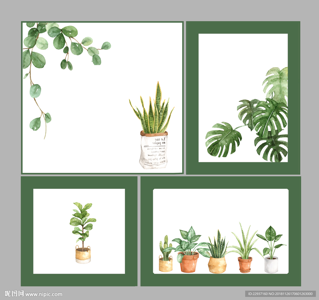 手绘植物