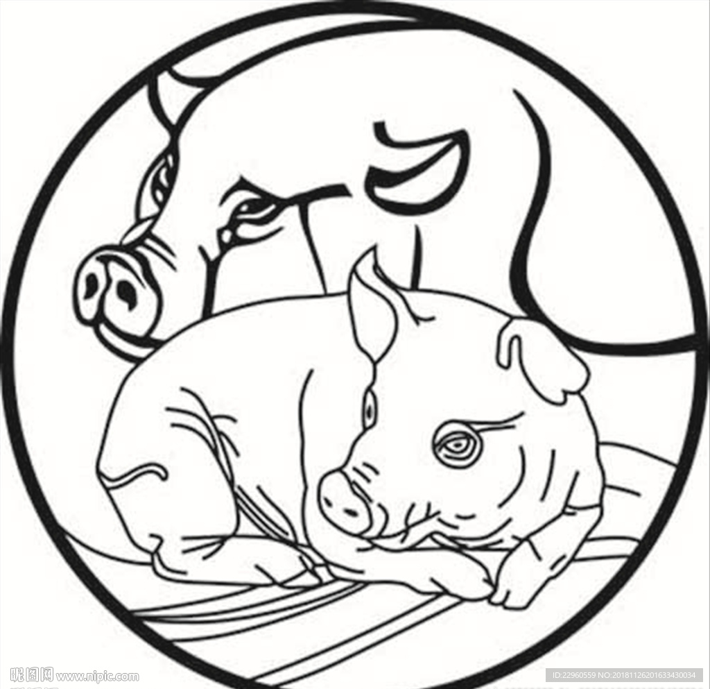 猪年 2019年 纪念币