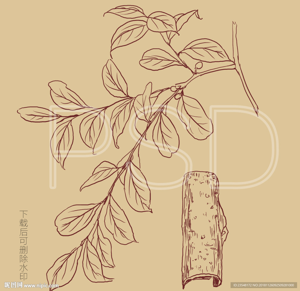 香叶树