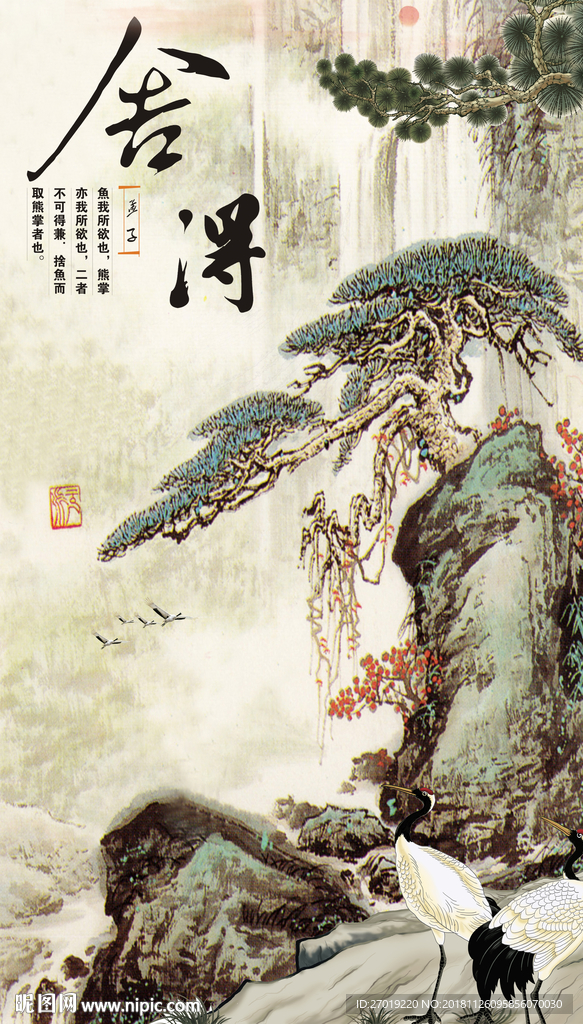 舍得