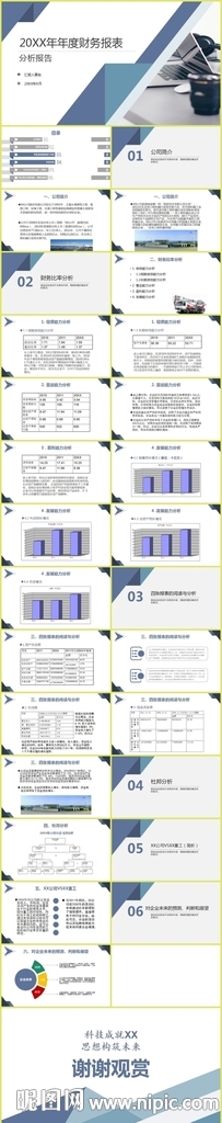 通用版企业年度财务分析报告