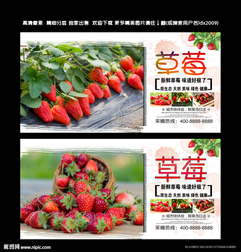 草莓