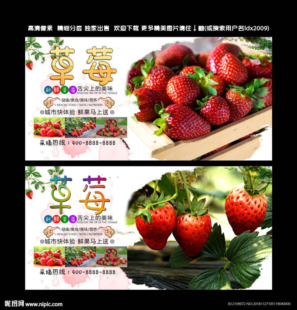 草莓
