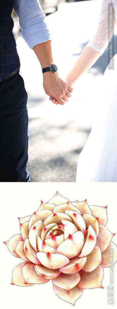 欢迎卡牌