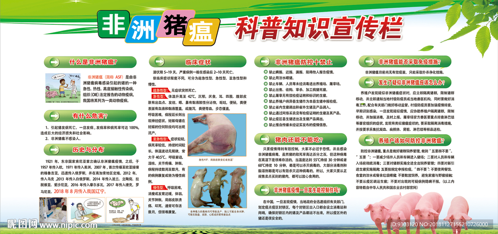 2018非洲猪瘟宣传栏