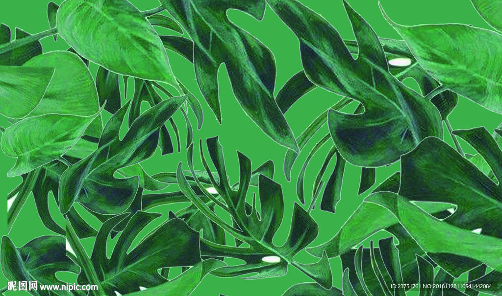植物背景