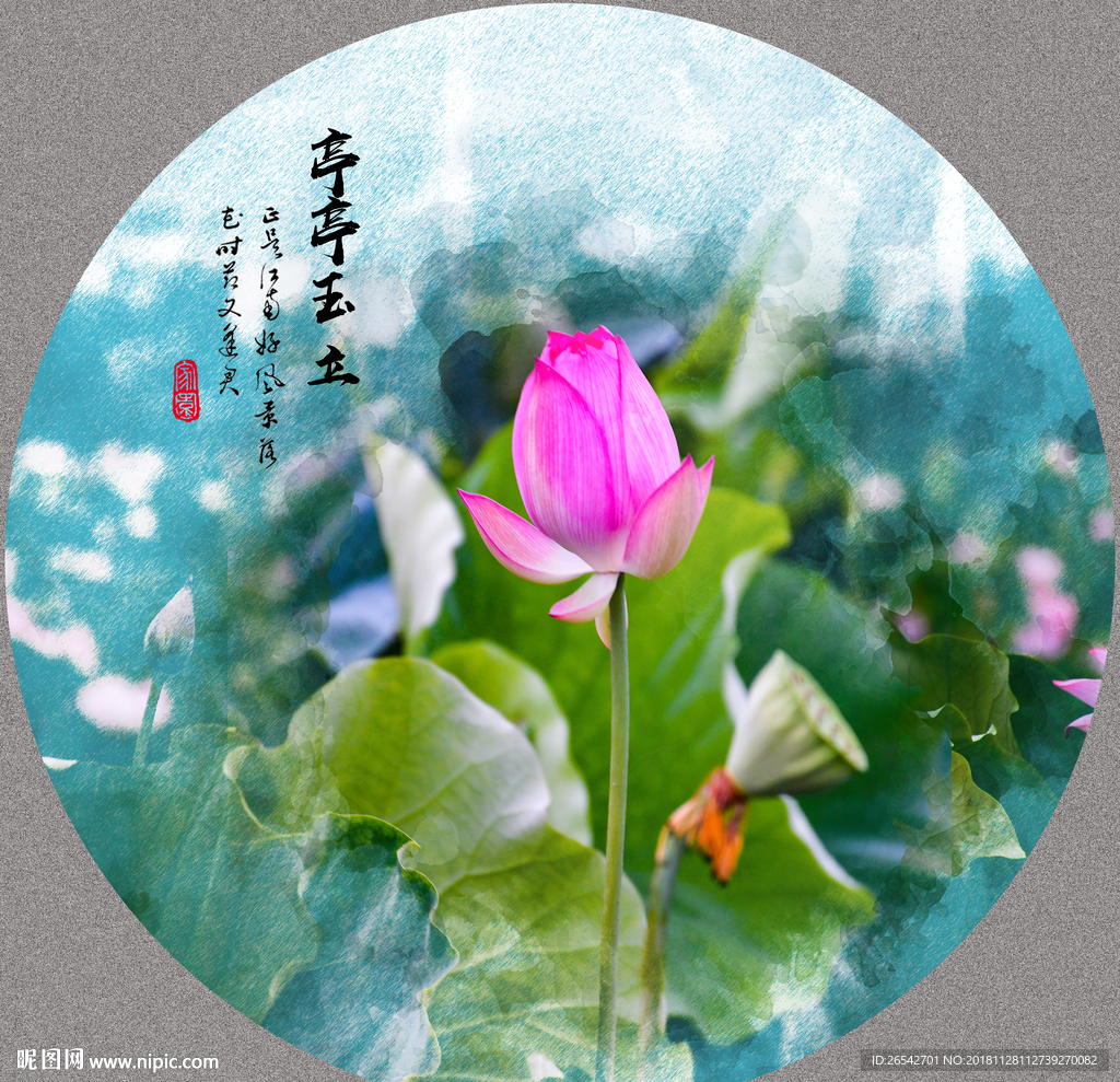 荷花