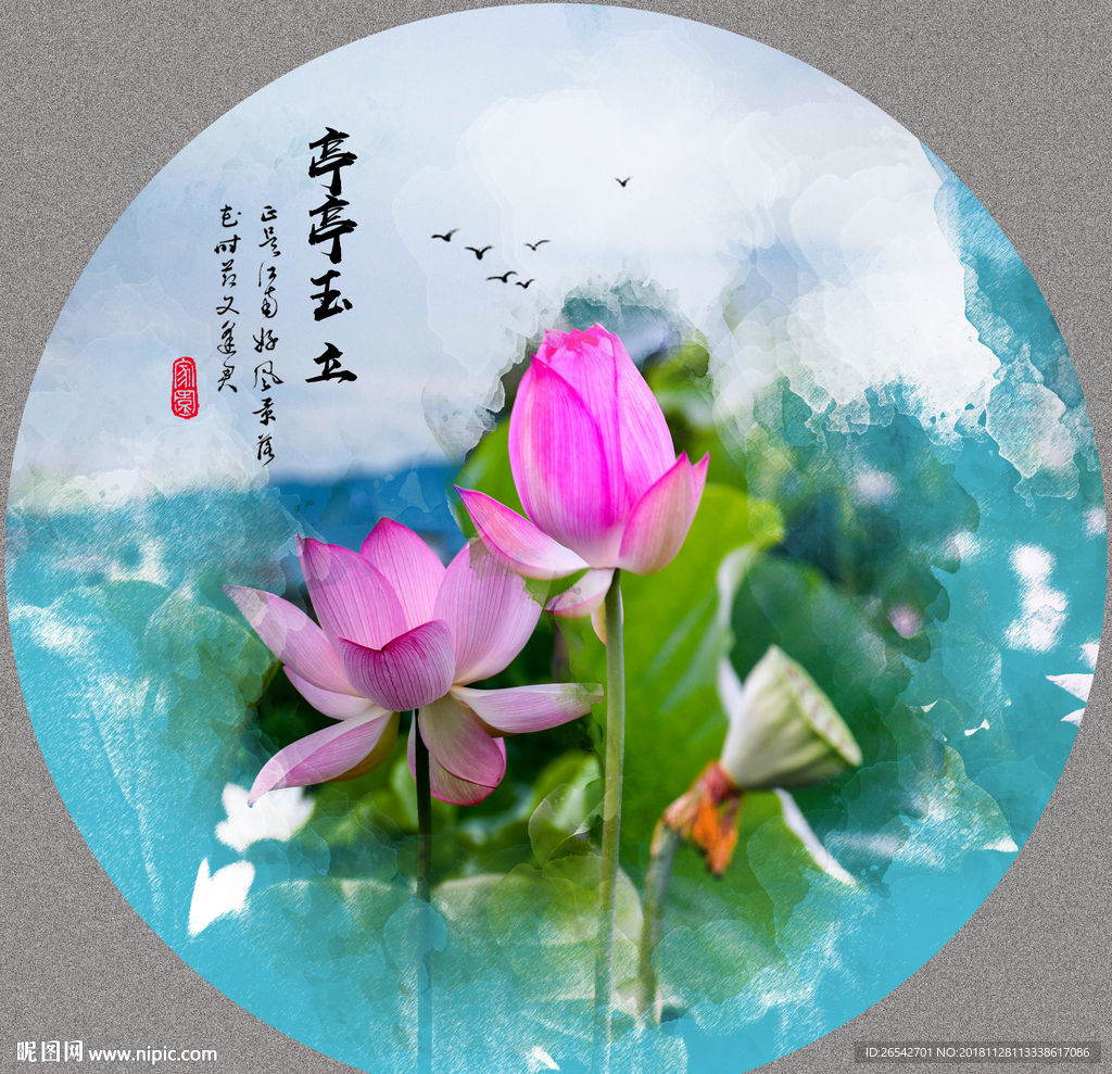 荷花