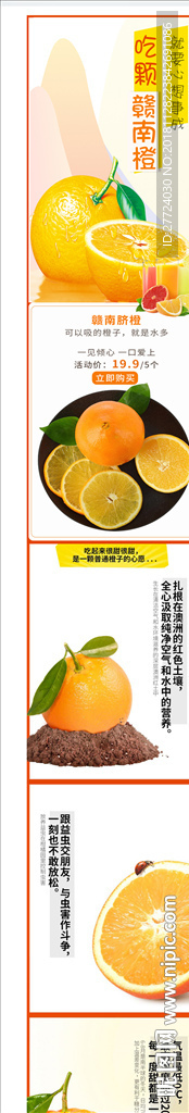橙子详情页