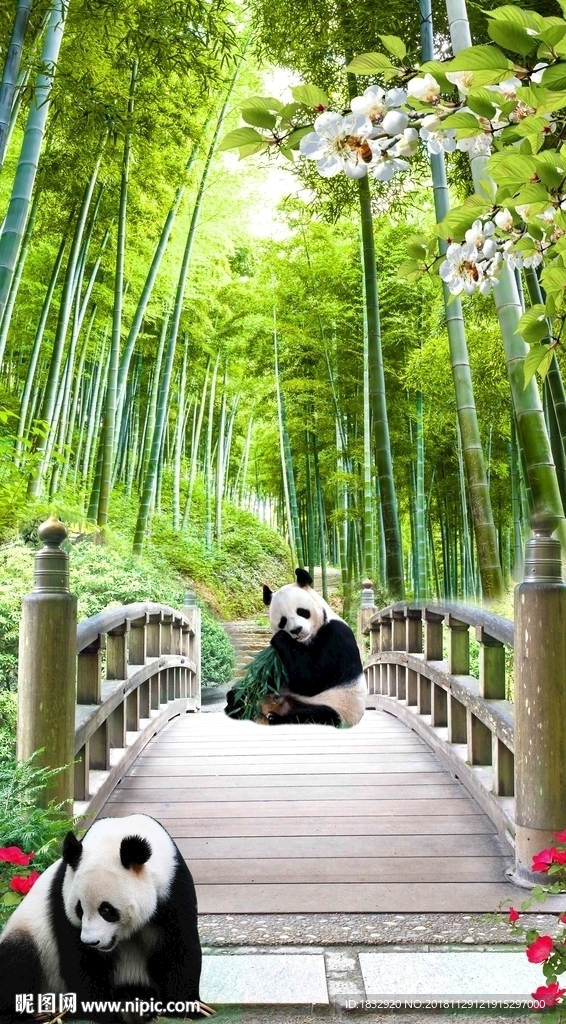 竹林熊猫玄关背景
