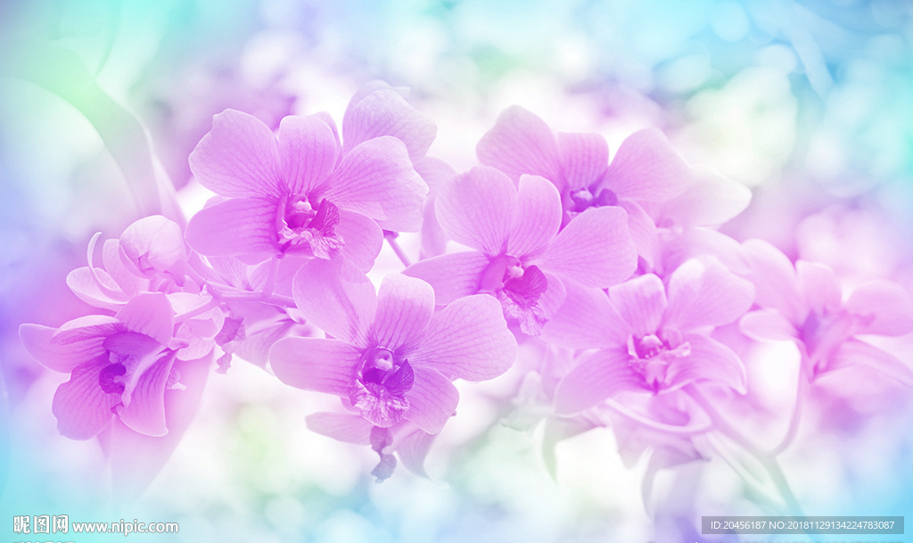 3D温馨紫色兰花装饰画