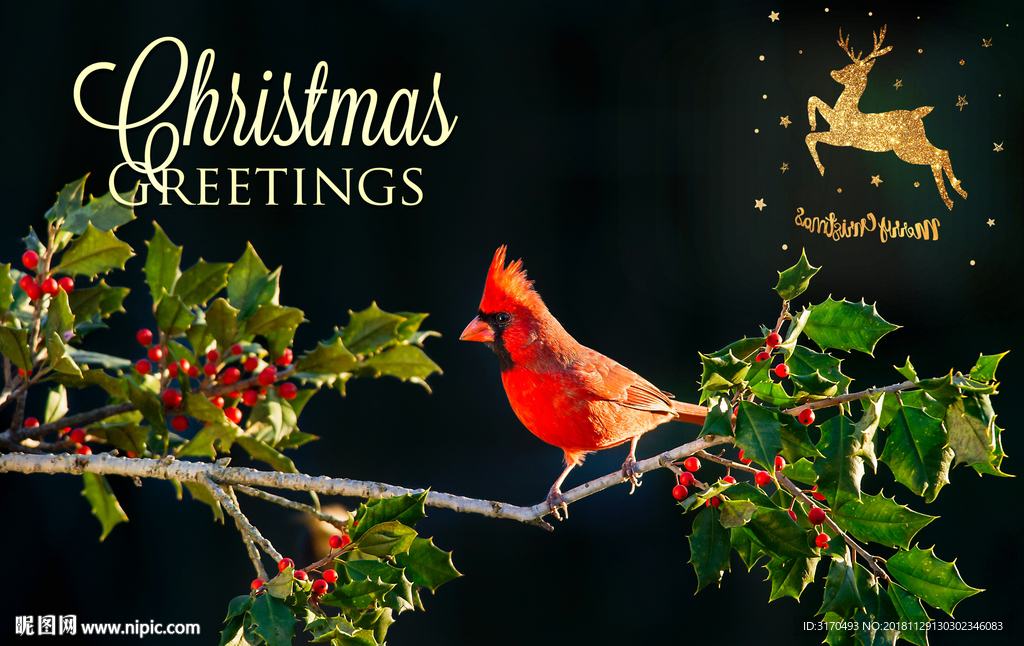 圣诞 快乐圣诞 圣诞快乐