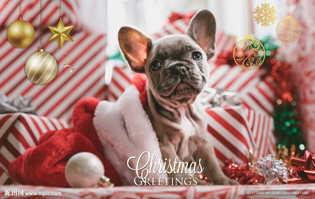 圣诞节 圣诞节海报 斗牛