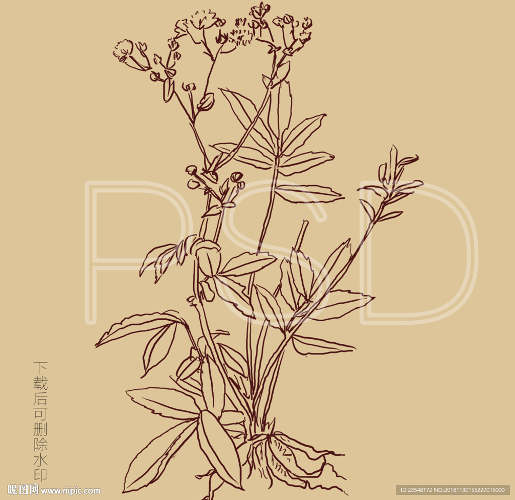 翻白草