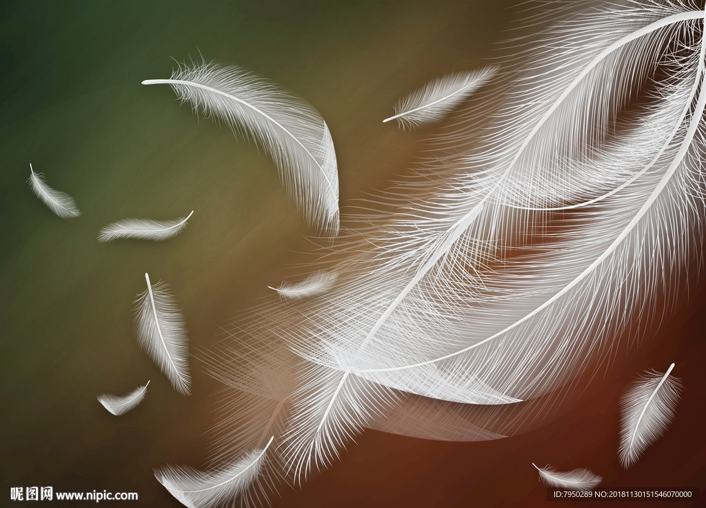 北欧现代简约羽毛背景墙