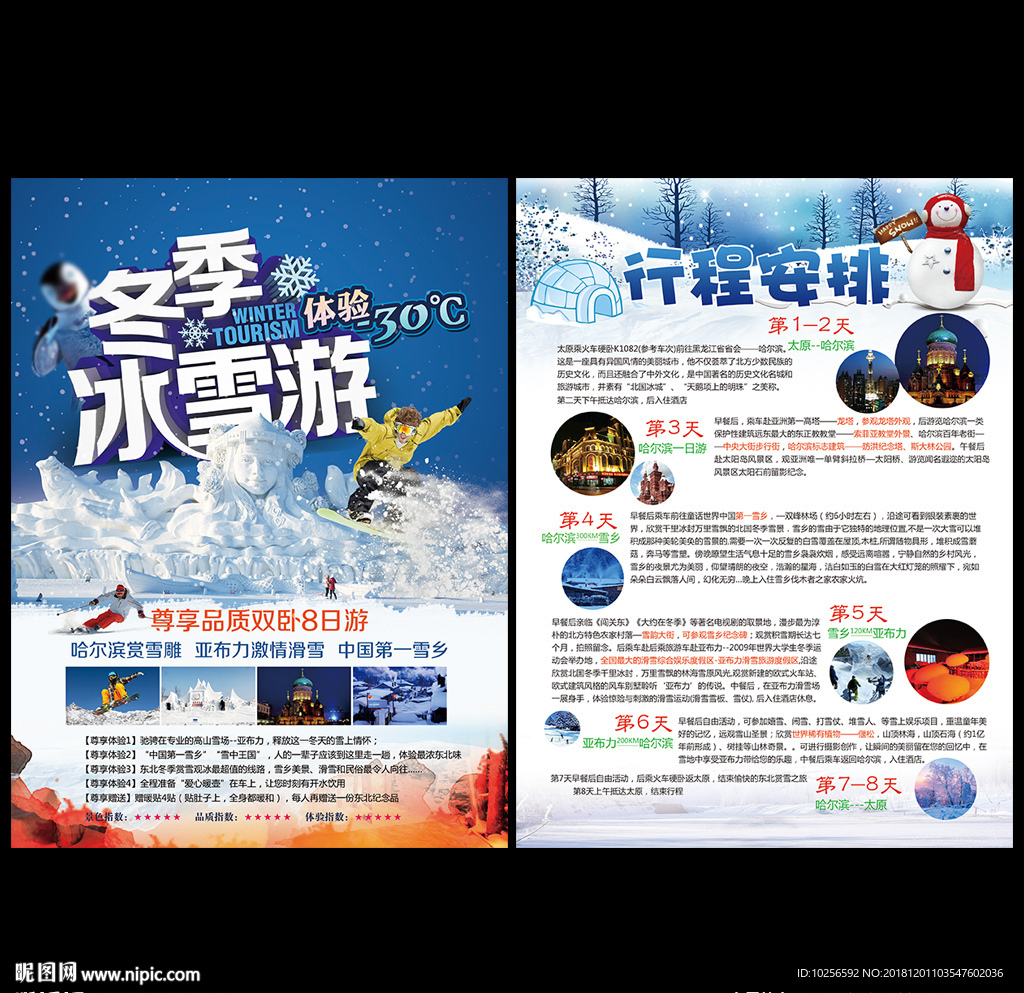冬季冰雪旅游滑雪运动宣传单
