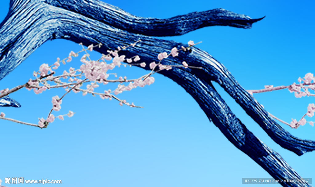 枯枝