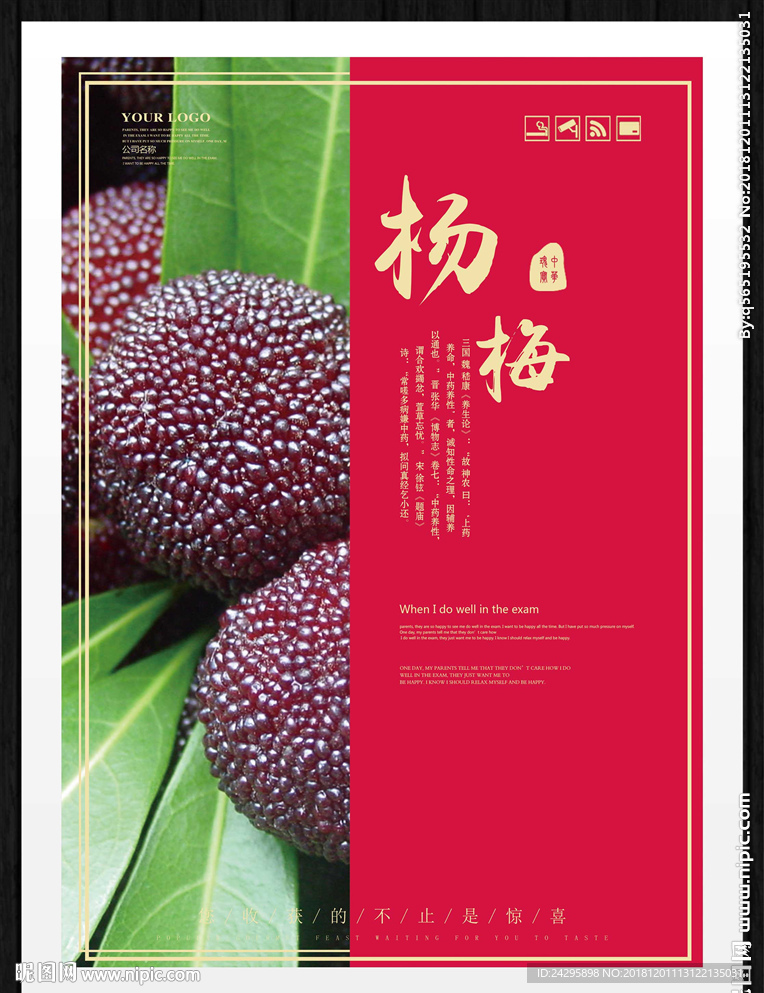 杨梅
