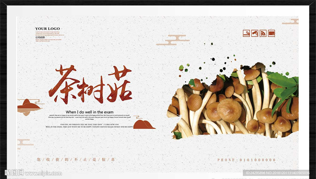 茶树菇
