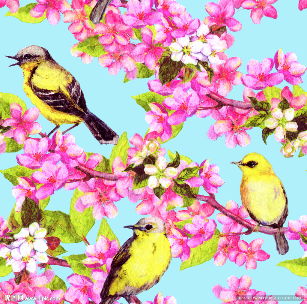 梅花小鸟
