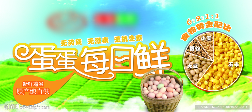 每日新鲜土鸡蛋超市海报