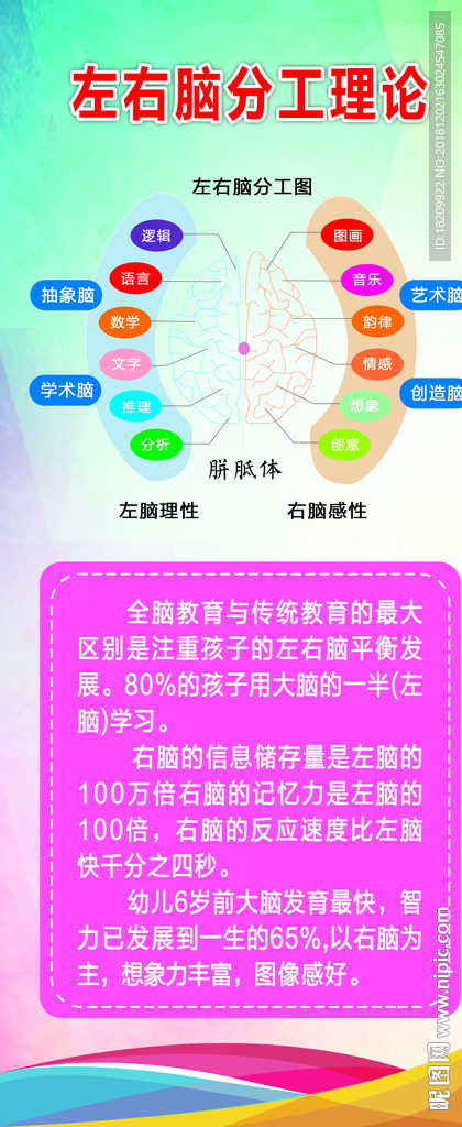 左右脑分工理论