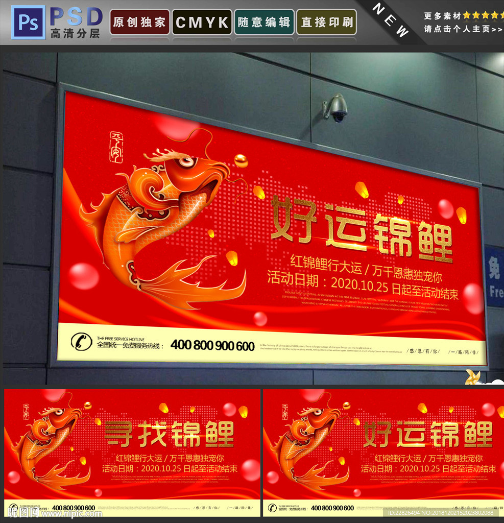锦鲤