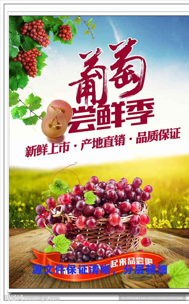 葡萄 提子