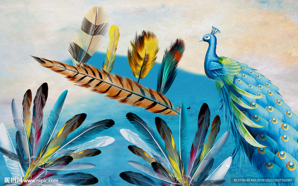 孔雀彩色羽毛玄关屏风背景底纹素