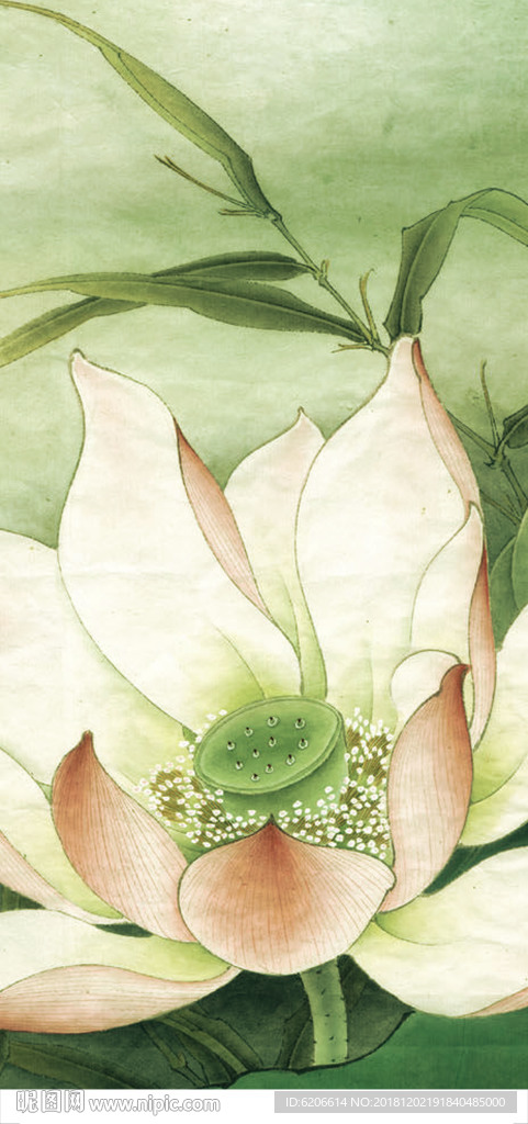 工笔荷花
