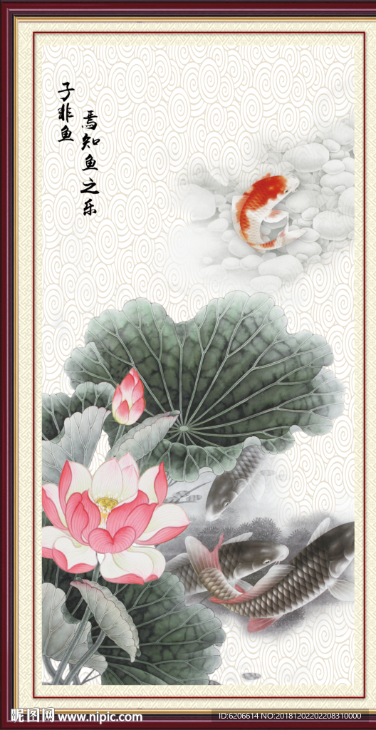 荷花鱼 子非鱼
