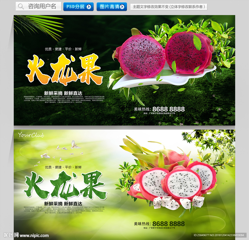 火龙果