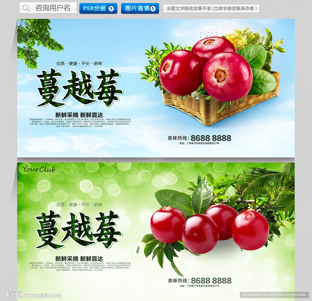 蔓越莓