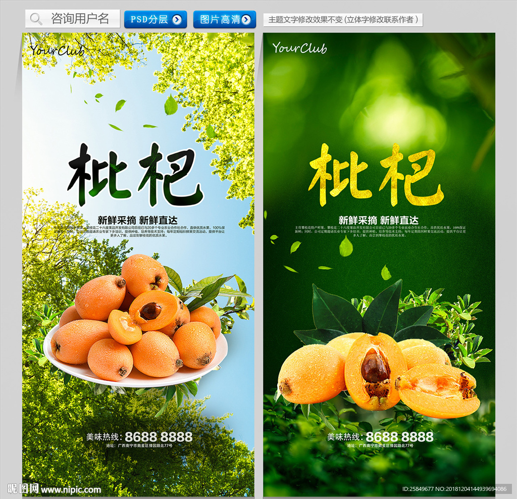 枇杷
