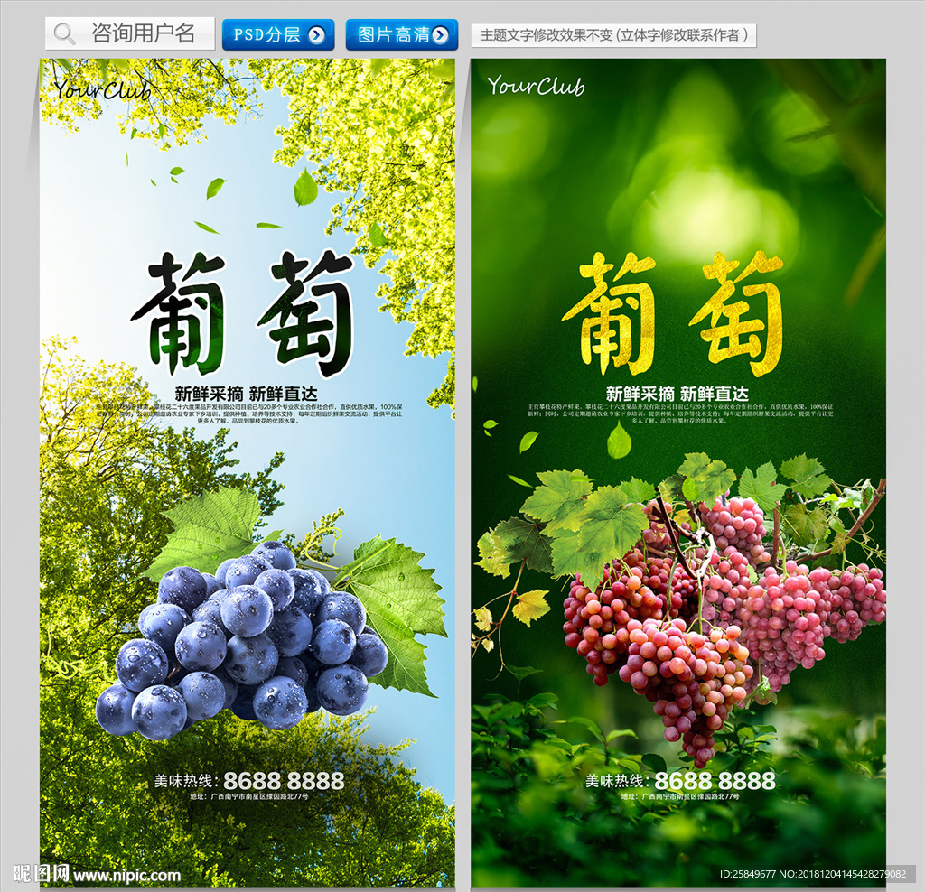 葡萄