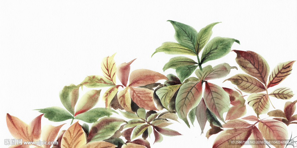 北欧现代简约粉色植物装饰画