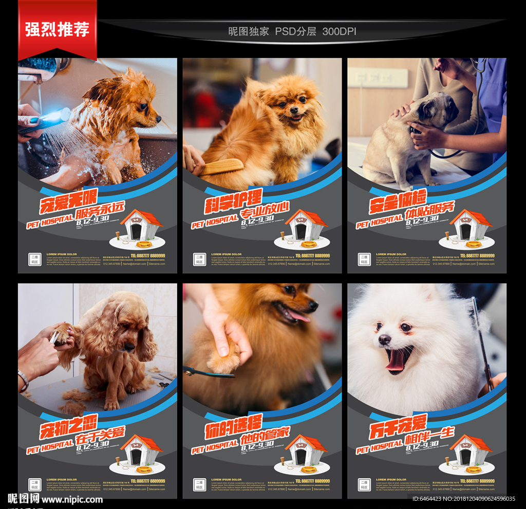 宠物美容