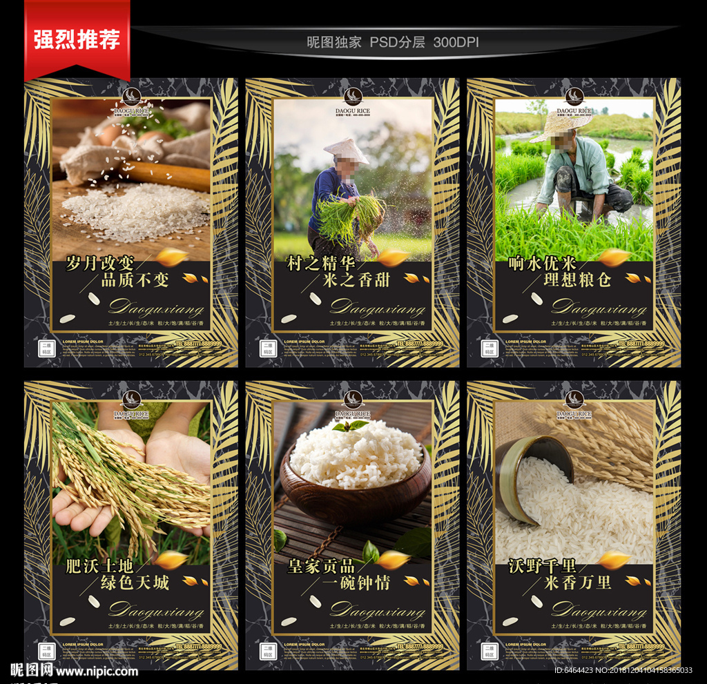 大米