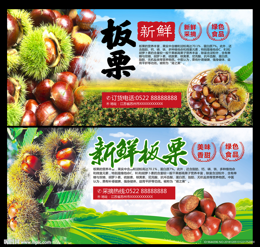 板栗