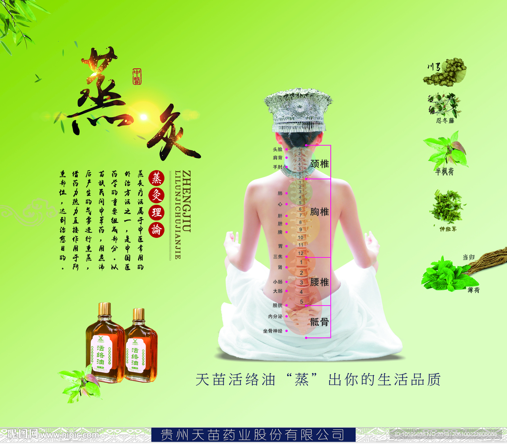 蒸炙