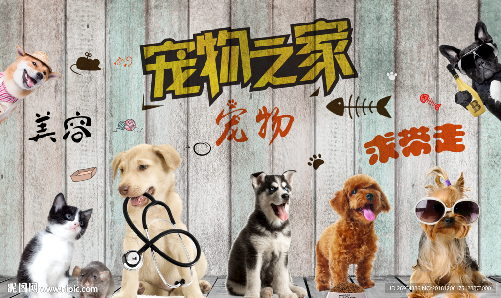 宠物之家