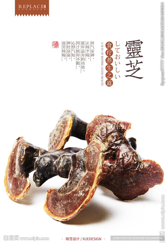 黑灵芝